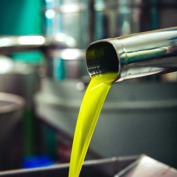 produzione olio extra vergine di oliva siciliano biologico
