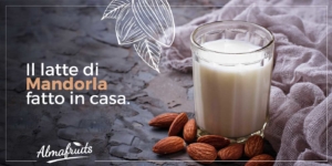 Latte di mandorle ricetta | Latte di mandorla fatto in casa: la nostra ricetta bio | Almafruits