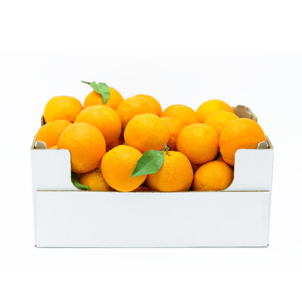 cassetta di 8 kg di arance siciliane navel