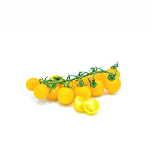 gtrappolo di pomodorino giallo siciliano