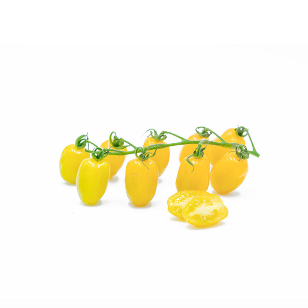 pomodorino datterino giallo fresco